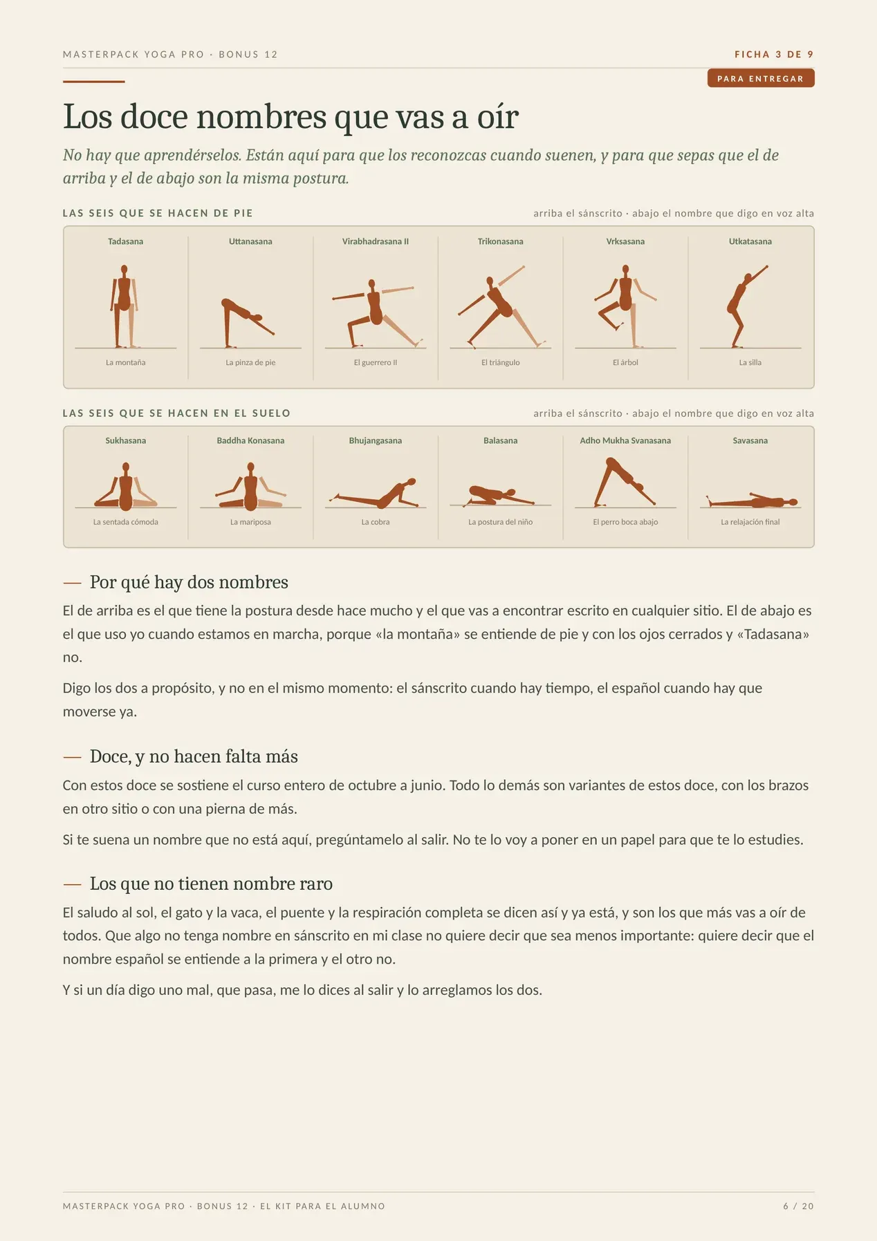 Página real del MasterPack Yoga Pro 6